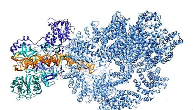 Cryo-EM技术：解锁生物微观世界的关键钥匙