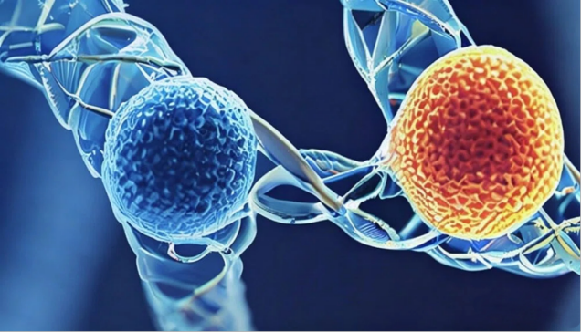 分子互作公司：赋能生命科学与药物研发的核心力量
