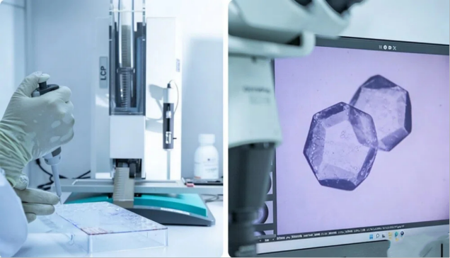 探秘蛋白晶体:解锁生命分子机制的核心路径