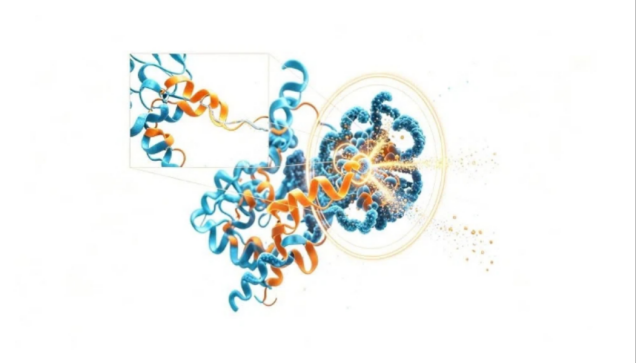 蛋白结合位点分析:结构生物学驱动药物研发的核心手段