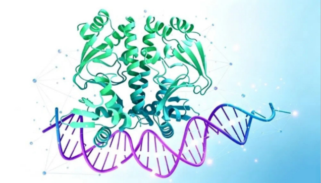 解析蛋白质结构:解锁生命分子密码,驱动生物医药创新!